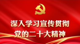 深入學(xué)習(xí)貫徹黨的二十大精神